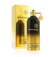 Montale Amber Musk woda perfumowana unisex 100 ml