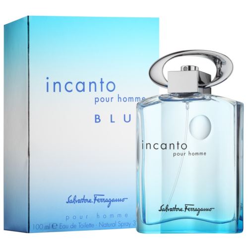 Salvatore Ferragamo Incanto Blue Pour Homme woda toaletowa dla mężczyzn 100 ml