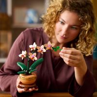 LEGO® Botanicals 10343 Mała orchidea (1)